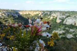Casa Al Castello Image