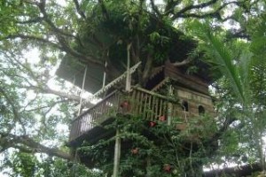 Casa del Arbol voted 5th best hotel in Golfito