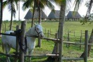 Casa Del Caballo Blanco voted 6th best hotel in San Ignacio