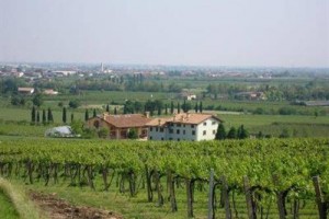 Casa Pierina Agriturismo Hotel Villafranca di Verona Image