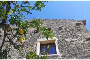 Casa Rubini Image
