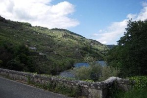 Casa Santo Estevo Lugo voted  best hotel in O Saviñao