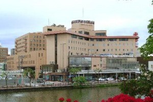 Akita Castle Hotel Image