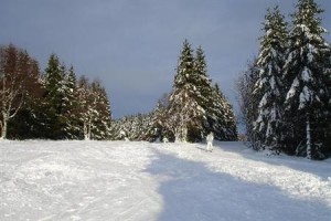 Central Hotel Winterberg Image