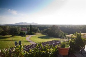 Cerrosughero Hotel Canino Image