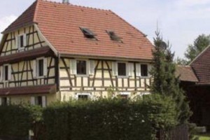 Chat au Grumbach Image