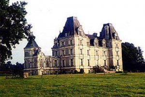 Chateau De La Tremblaye Hotel Cholet Image