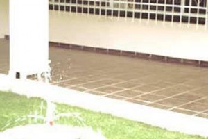 Cherry Tree Bed and Breakfast Johannesburg Image