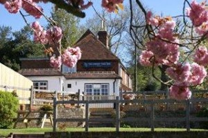 Cherry Tree Inn voted  best hotel in Ticehurst