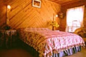 Chesleigh Homestead Bathurst Image