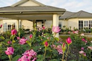 Chestnut Hill Country Retreat Swan Reach Image