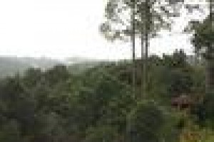 Chevron Ranikhet Club Image