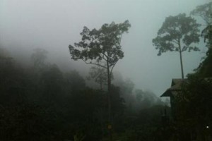 Chiang Dao Hut Image