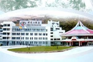 China Travel Hotel Image