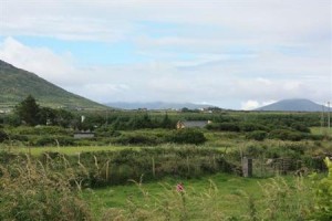 Coill An Rois B&B Image