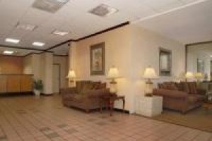 Comfort Inn & Suites LAX Airport Image
