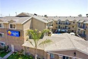 Comfort Inn Cockatoo voted 4th best hotel in Hawthorne 