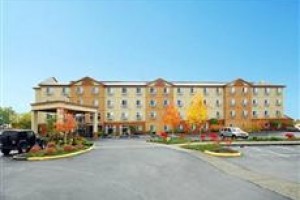 Comfort Inn Federal Way Image