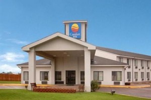 Comfort Inn Limon Image