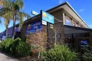 Comfort Inn on Marion Adelaide Image