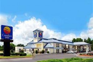 Comfort Inn Richburg Image