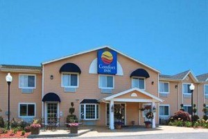 Comfort Inn Saugerties voted 2nd best hotel in Saugerties