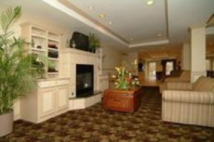 Comfort Suites Springdale voted 2nd best hotel in Springdale 