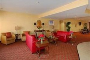 Comfort Suites Wright Patterson Dayton (Ohio) Image