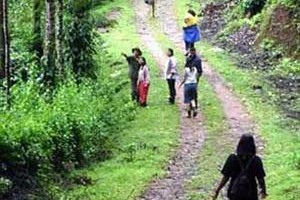 Coorg Planter's Camp Image