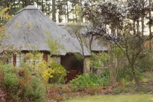 Coral Tree Cottages voted  best hotel in Harkerville
