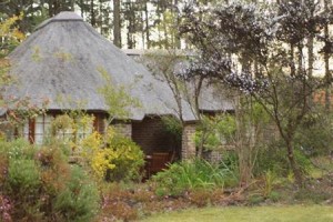 Coral Tree Cottages Image