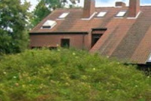 De Linde Image