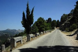 Cortijo Los Abedules Image