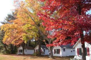 Cozy Cottages and Otter Valley Winery Image