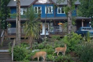 Cynamoka Coffee House and Guest Suites voted 6th best hotel in Ucluelet