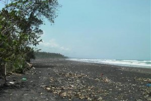 Dewi Sartika Hotel Image