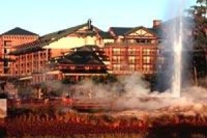 Disney's Wilderness Lodge Image