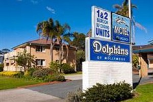 Dolphins Mollymook Image