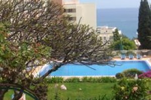 Dorisol Mimosa Image