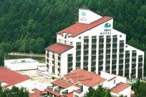 Dragon Valley Hotel Yong Pyong Resort Image