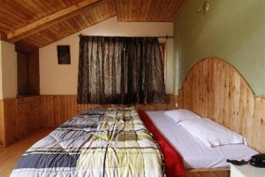 Dream View Resorts Manali Image