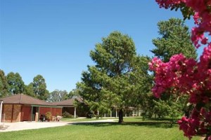 Dreamwood Estate Bed and Breakfast voted  best hotel in Tennyson