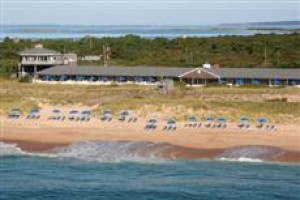 Driftwood on the Ocean Resort Montauk Image