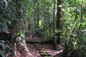 Eco Lodge Resort Lake Coter Nuevo Arenal Image