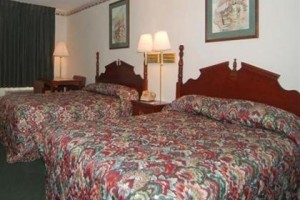 Econo Lodge Orange Park Image