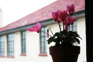 Eden Gardens Motel Image