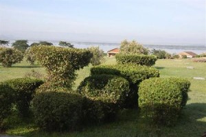 Elementaita Country Lodge Hotel voted  best hotel in Lake Elementaita