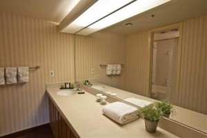 Embassy Suites Hotel Phoenix-North Image