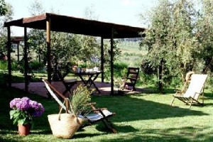 Fattoria Casa Sola Image