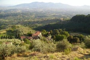 Fattoria di Petrognano dei Conti Gambaro Image